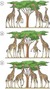 Images (5)_tiny